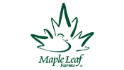 Maple Leaf