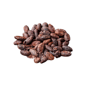 Semillas de Cacao