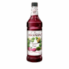 Jarabe de Tuna Morada