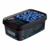 Puré de Blueberry