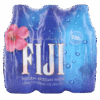 Agua Fiji Six Pack 330ml